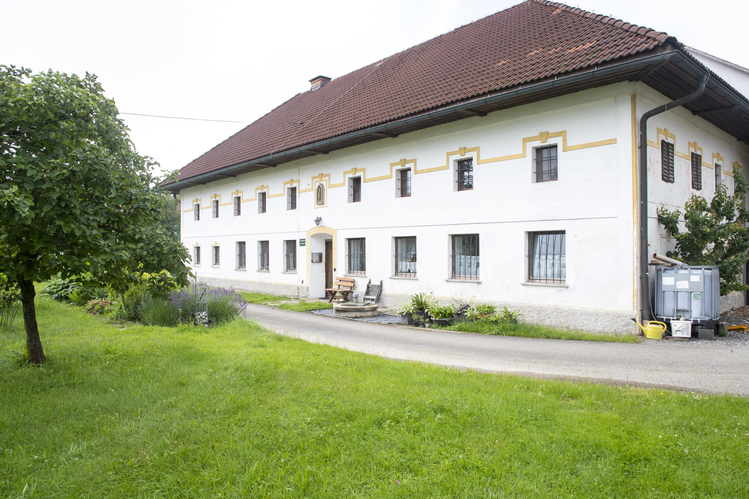 Wels in der Anlage